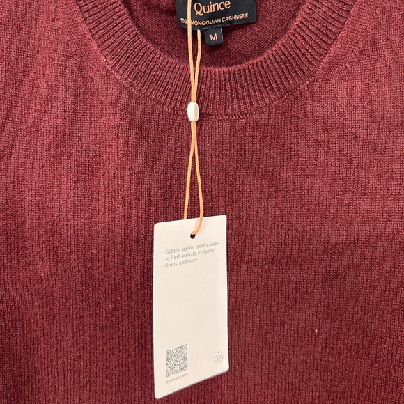 Quince Cashmere Tee - Picture 3 of 6